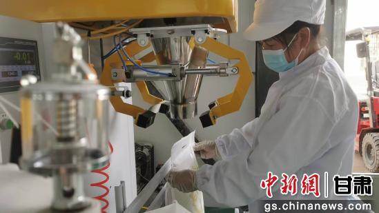 甘肃灵台 沃野铺绿毯 编织粮食产业黄金链